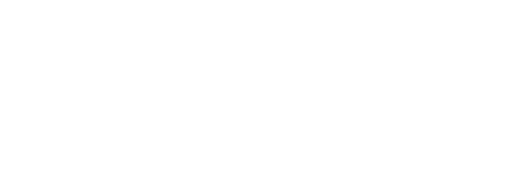 Meta Business Partner