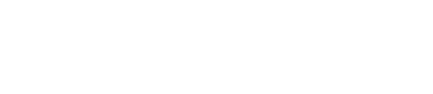 TikTok Marketing Partner